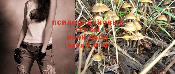 PSILOCYBIN Алексин