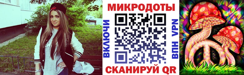 наркотики  Пыталово  Псилоцибиновые грибы Psilocybine cubensis 
